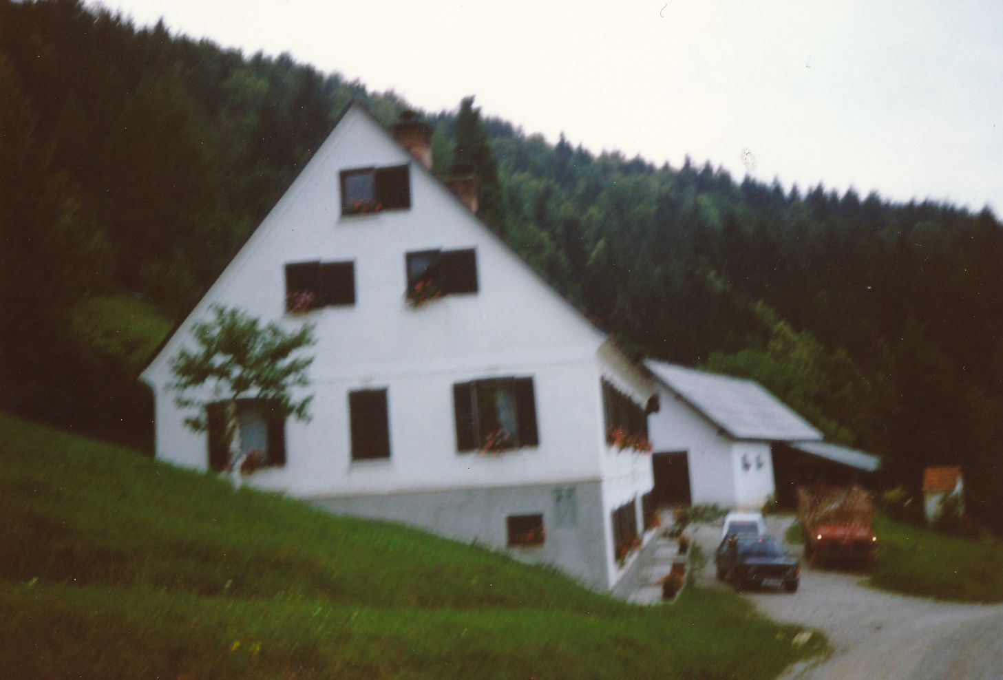 eika image